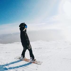 Meet your Posher, Ollie